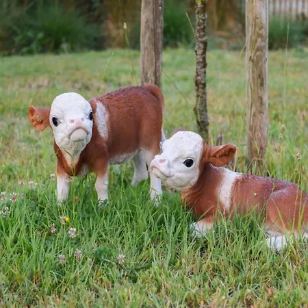 Apartman Spacious Seaside Nieuwpoort