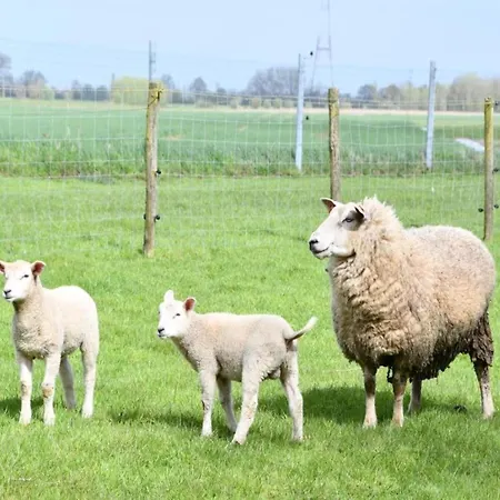 شقة Spacious Seaside