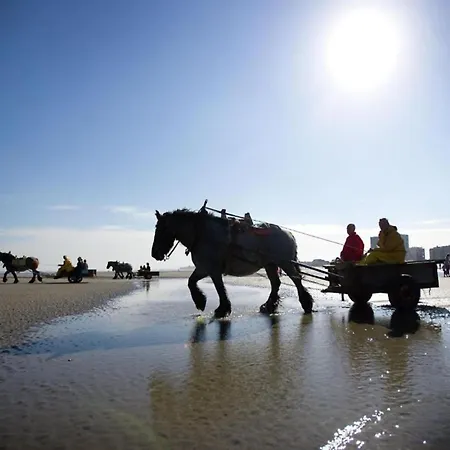 Apartman Spacious Seaside *